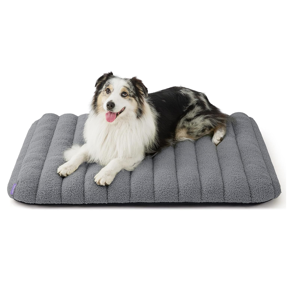 Lesure Cute Orthopedic Dog Bed for Large Dogs