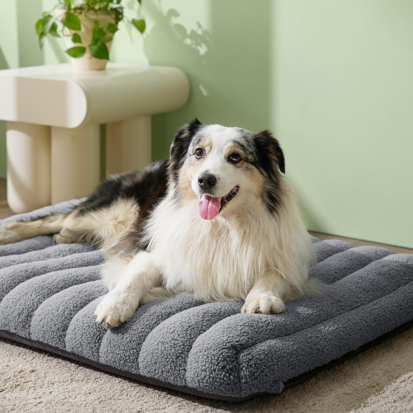 Lesure Cute Orthopedic Dog Bed for Large Dogs